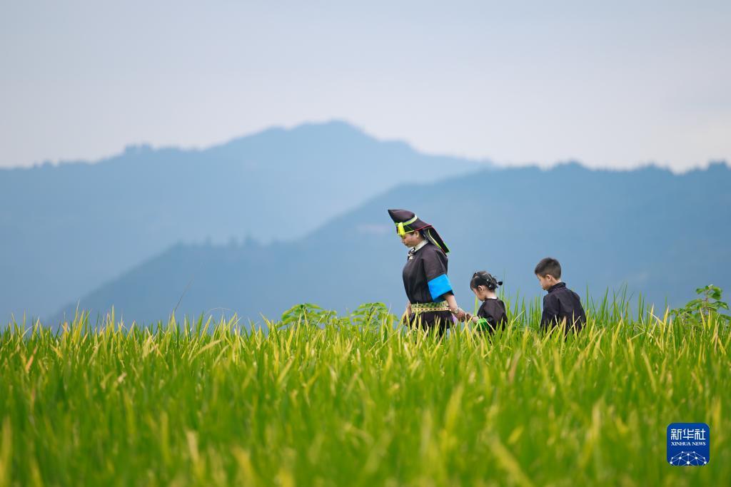 汇赢国际官网